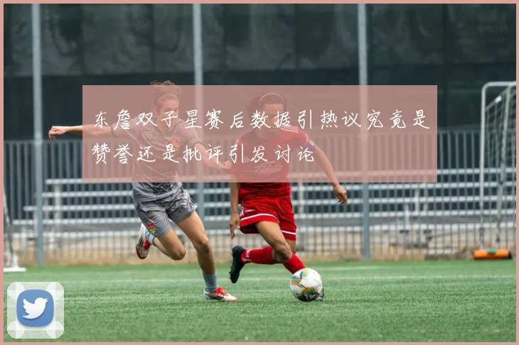 东詹双子星赛后数据引热议究竟是赞誉还是批评引发讨论