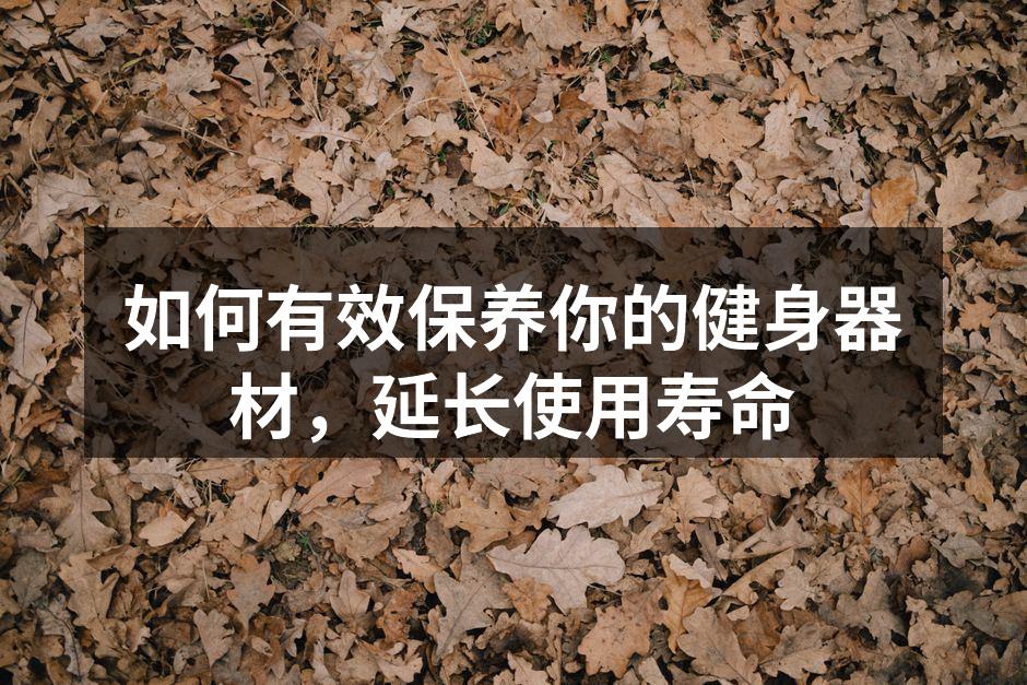 如何有效保养你的健身器材，延长使用寿命